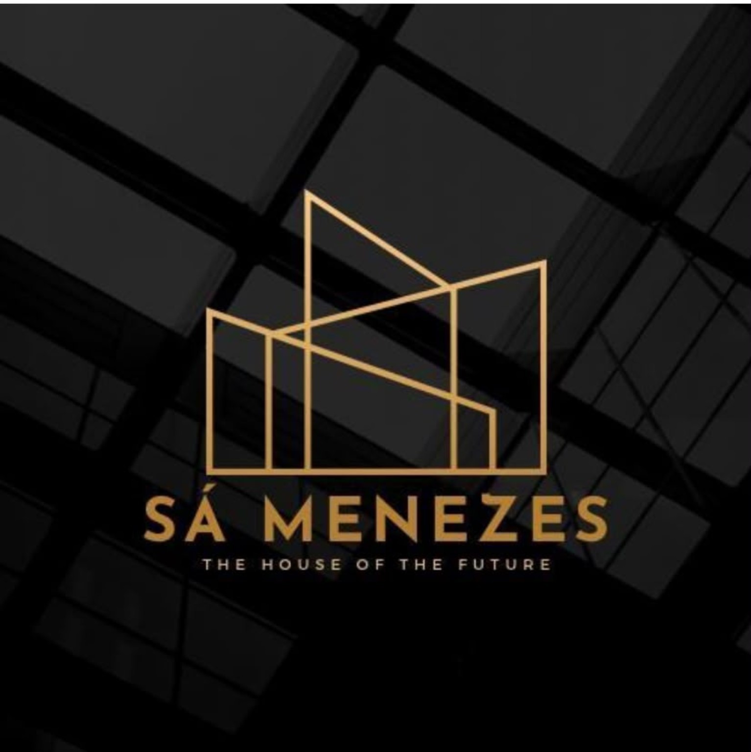 Logo Sá Menezes